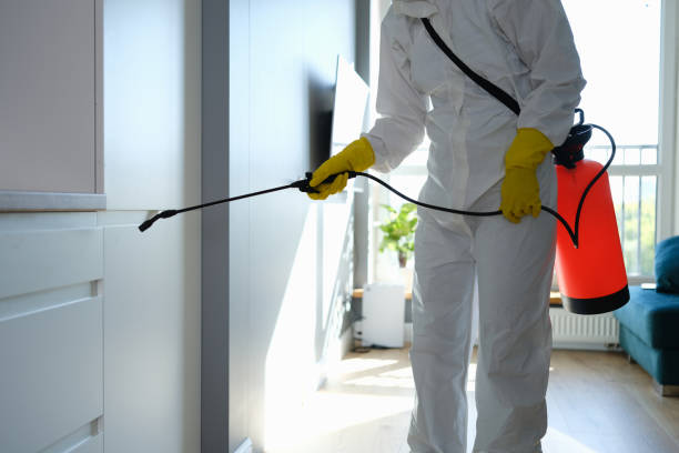 Best Toxic Mold Removal  in USA